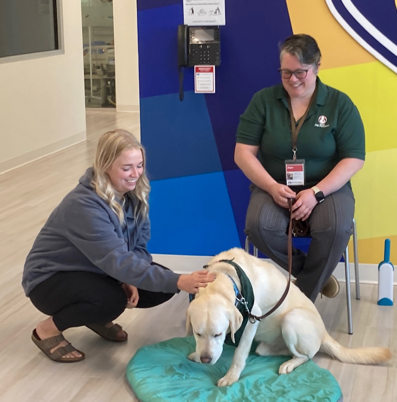 Pet therapy: A scratch behind the ears for humans | Millcreek Journal