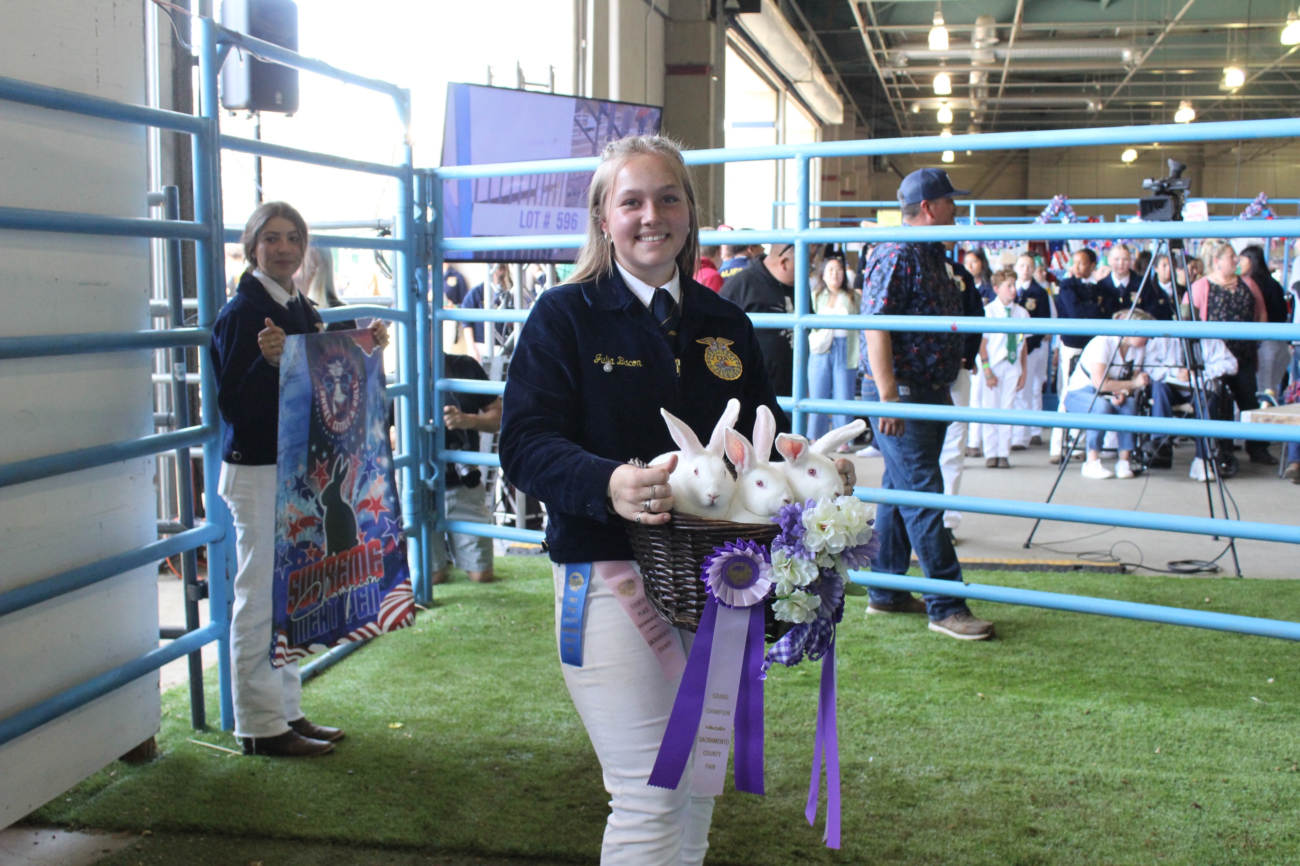Making the Sale at Livestock Auction | Elk Grove Citizen - Vimarsana News