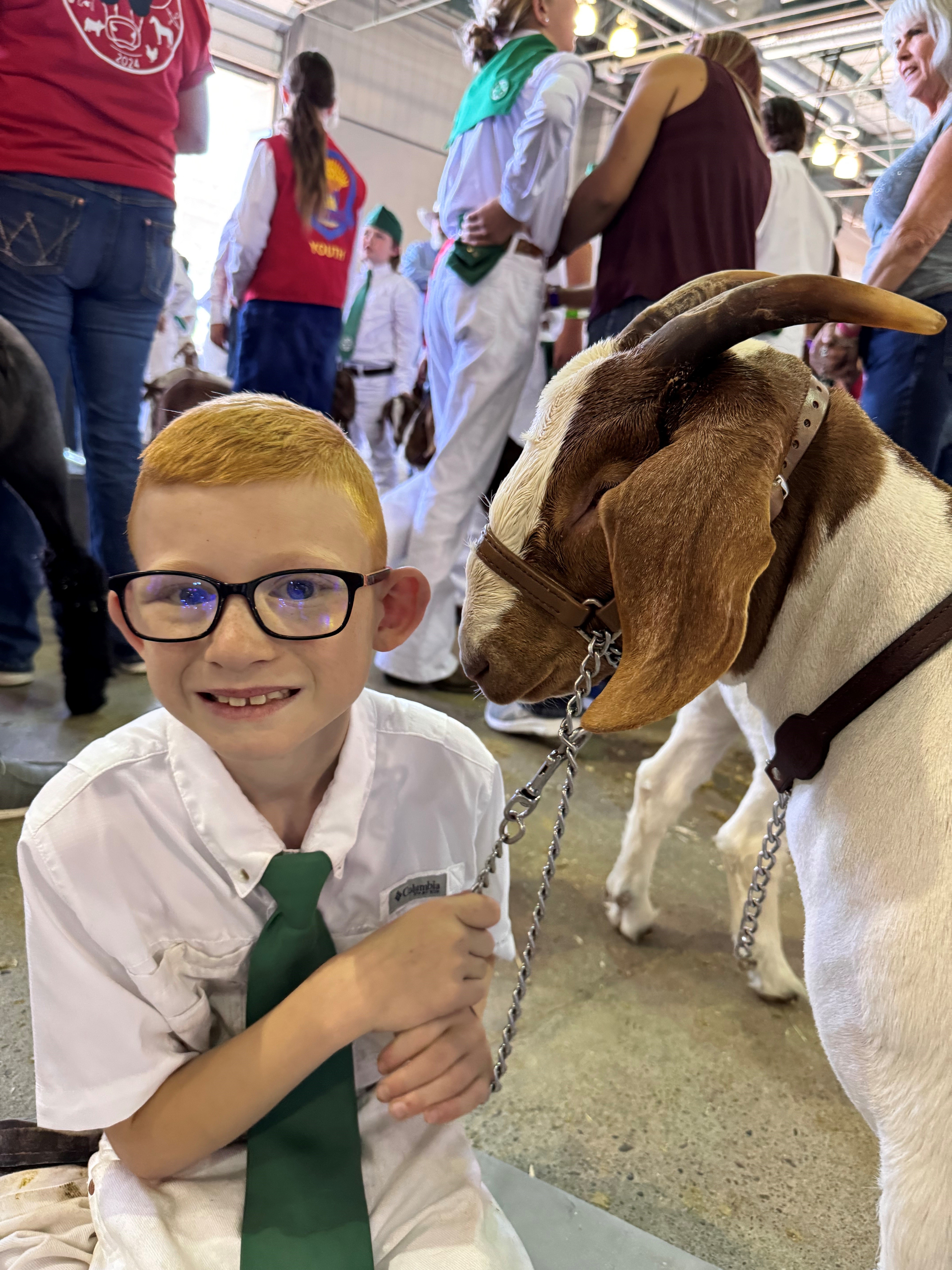 Nurturing Young Leaders Through 4-H, FFA and the Sacramento County Fair - Vimarsana News