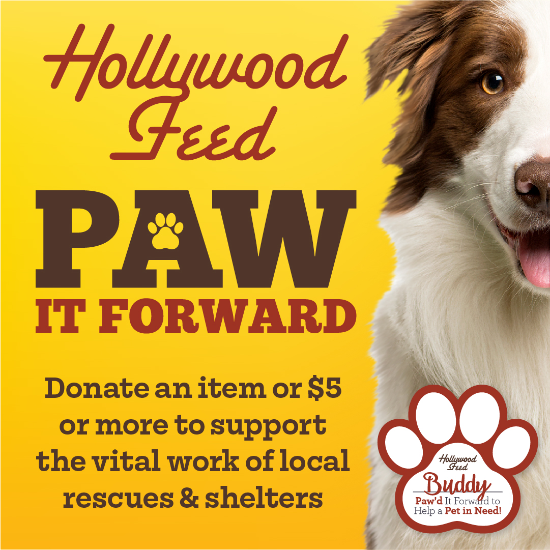 Paws Drive Hollywood Feed’s Annual “Paw it Forward” Donation Drive