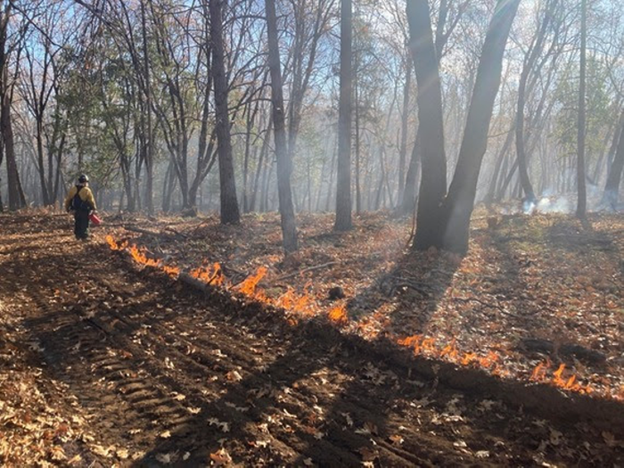 The Sierra Nevada Conservancy Opens Two Grant Programs, Awards $545,000 to 40 Acre Conservation League