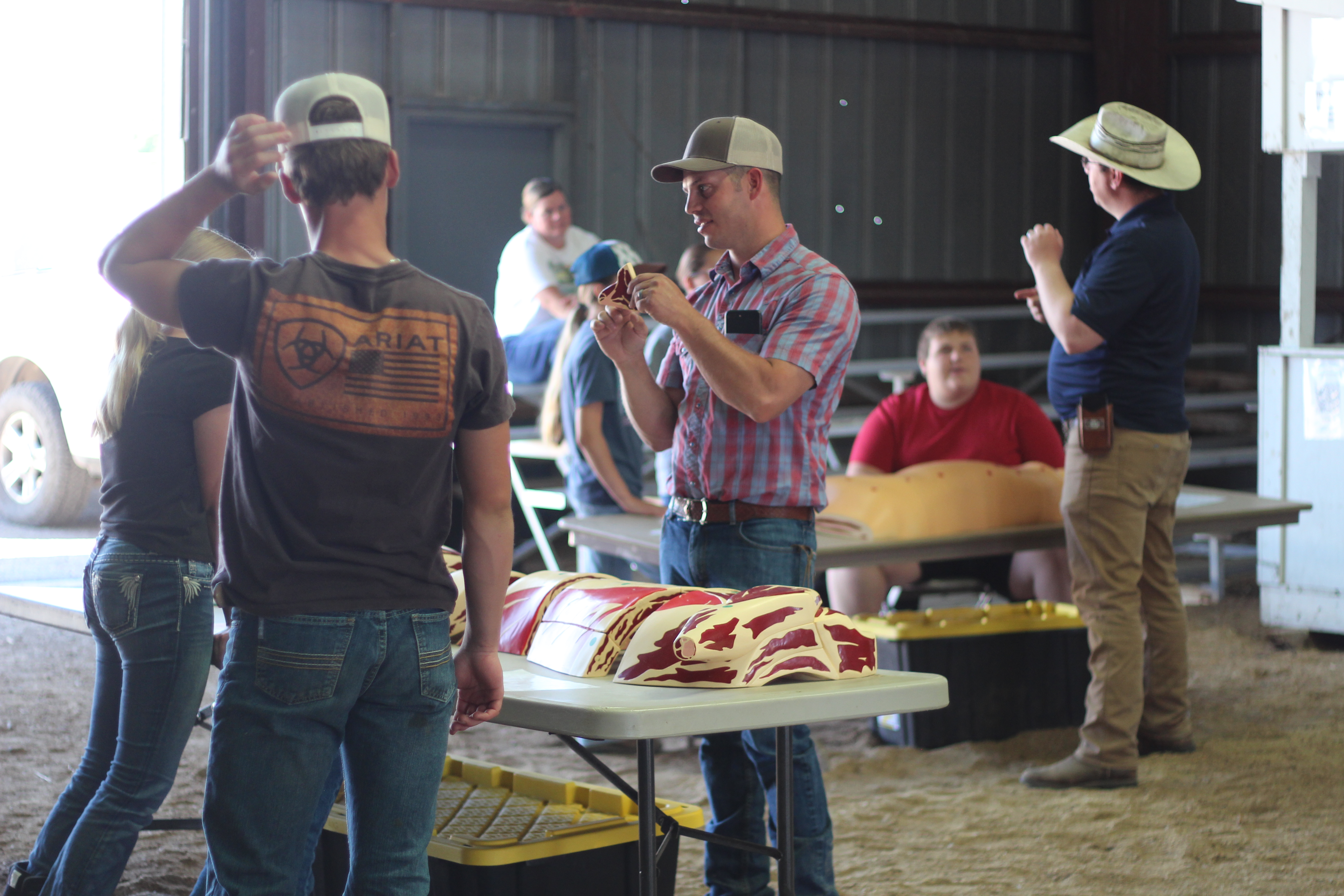 Livestock Daycamp helps prepare for the Fair | Caribou County's Local ...