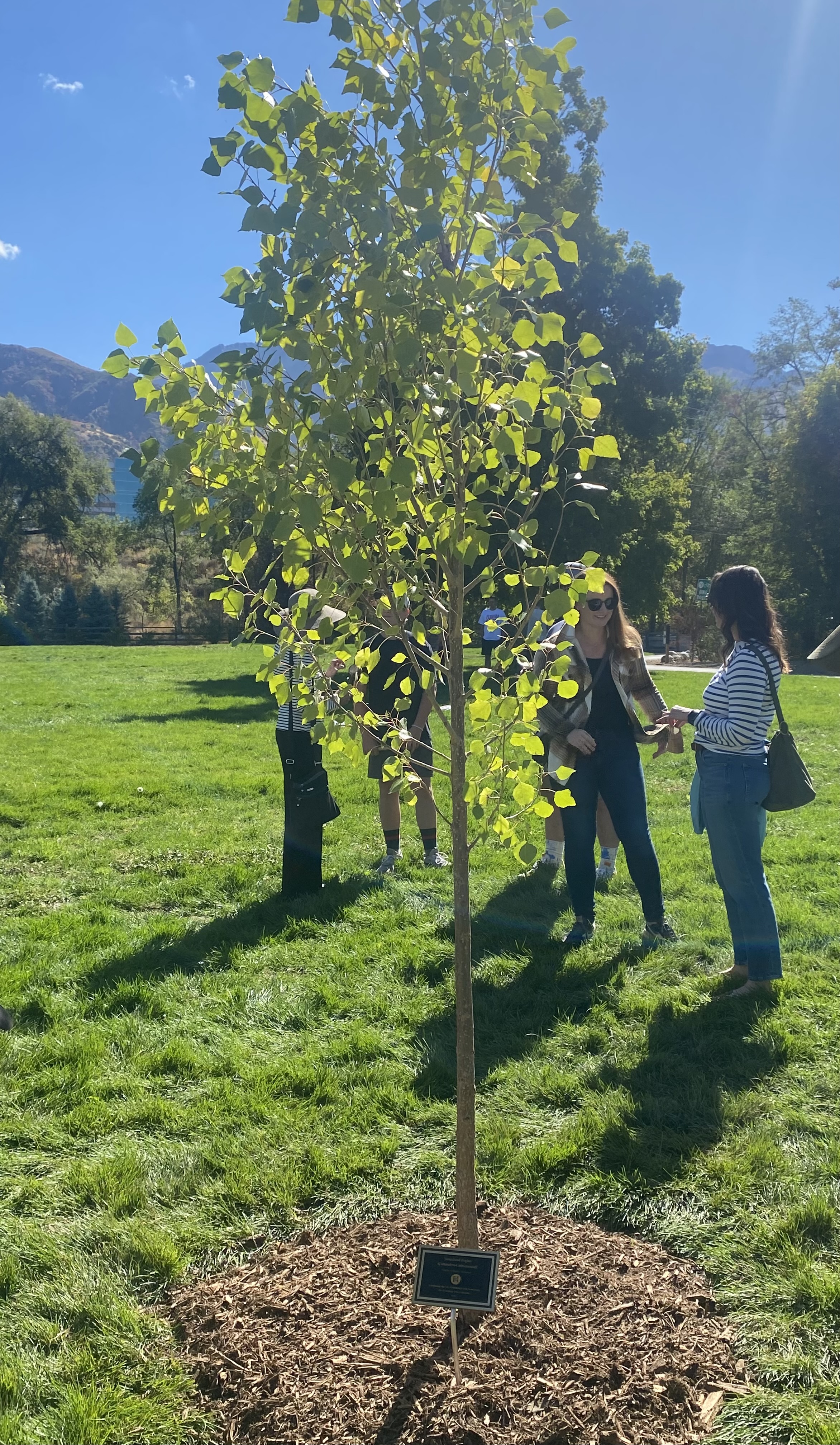 Tree planting ceremony marks 25th anniversary of Holladay City