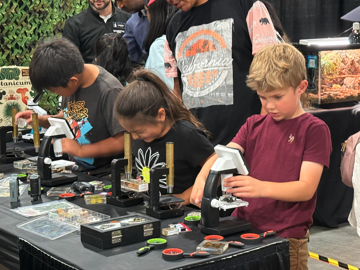 STEM Fest sparks curiosity for all ages