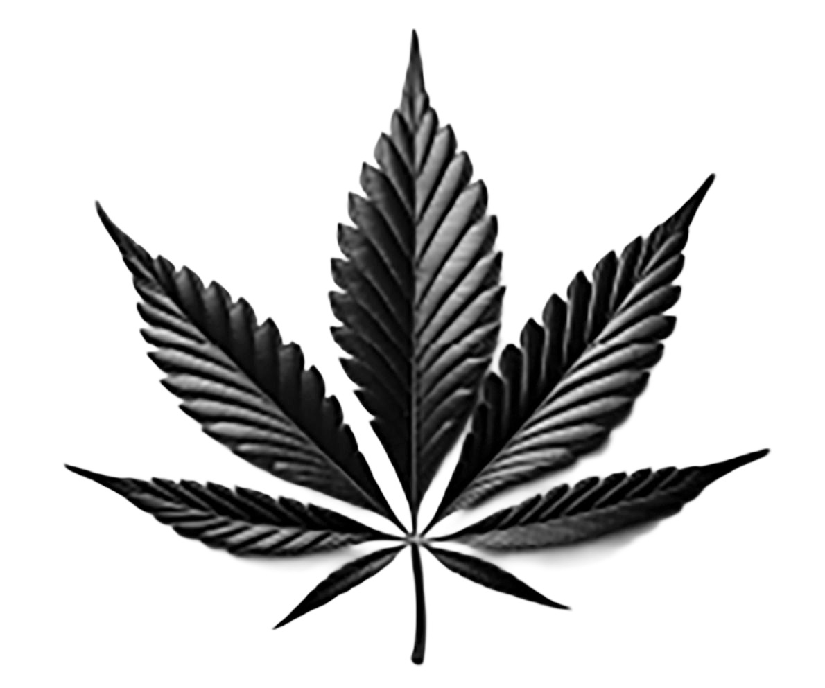 Council Approves Updates for Cannabis Businesses