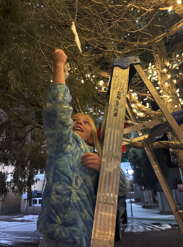 Memorial Tree Lighting at the Library | Caribou County's Local Newspaper