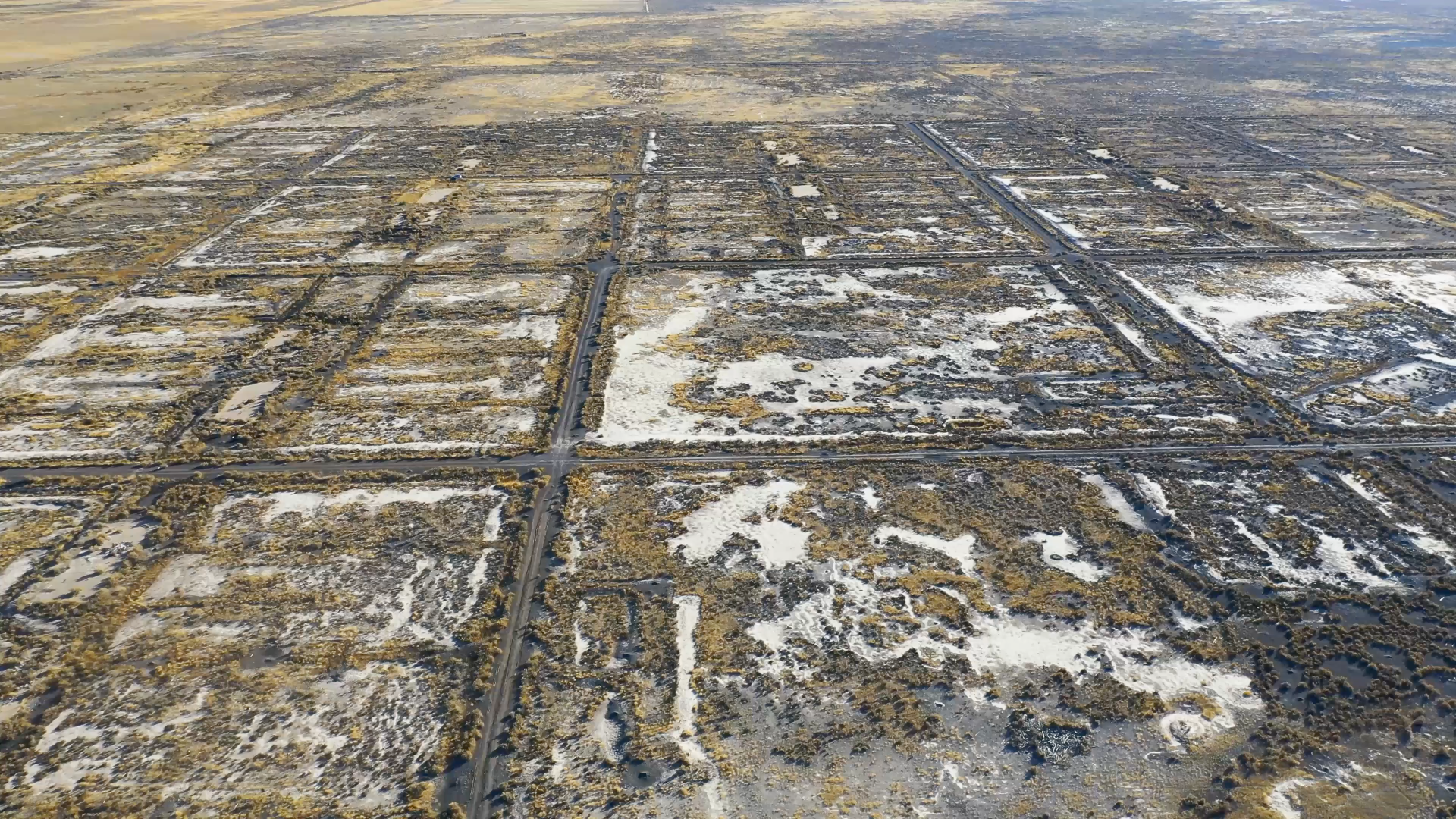 Topaz Stories shines a light on a dark time in U.S. history