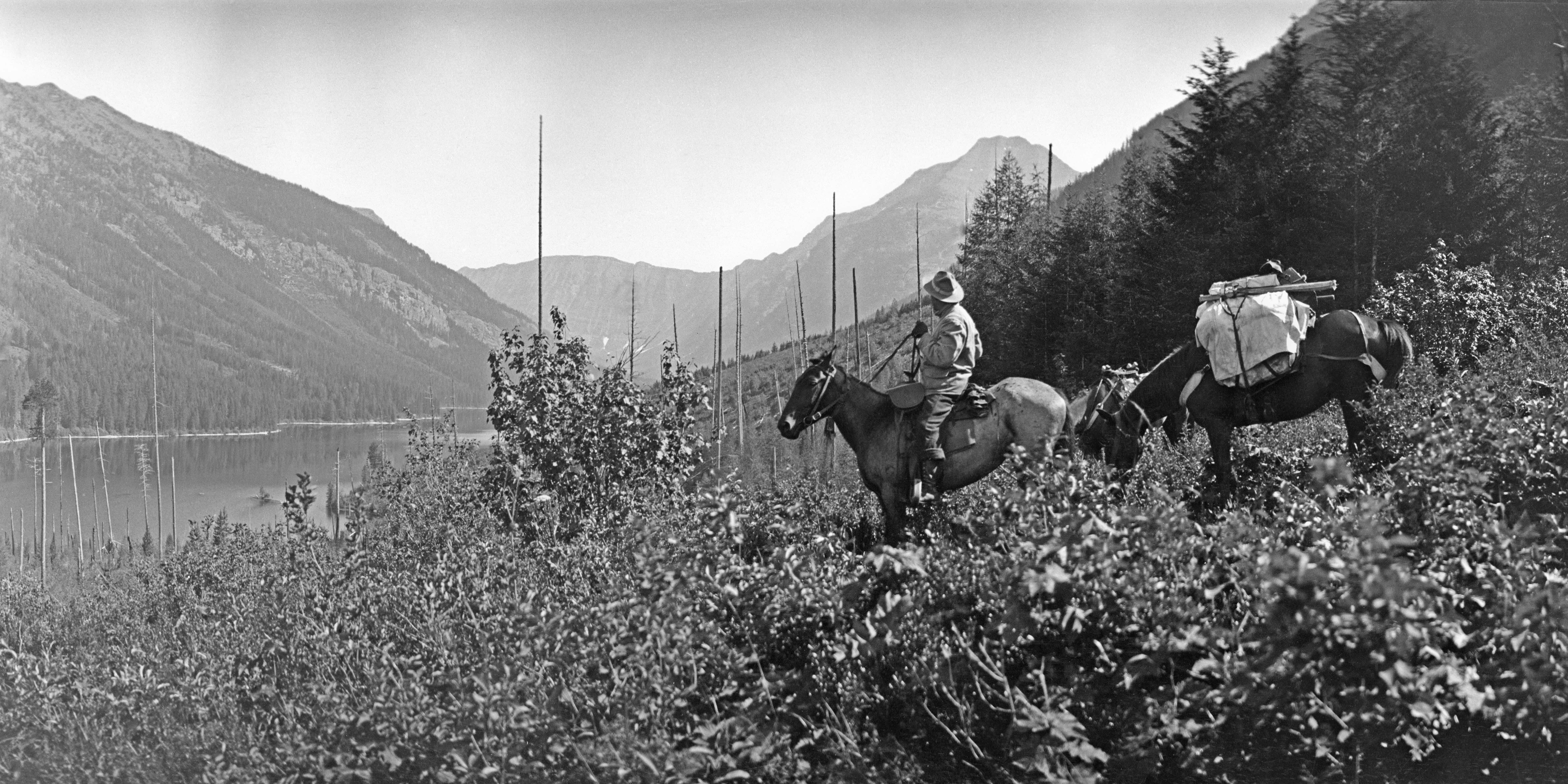 Valley Views: Photographer Roland Reed | Steamboat Magazine