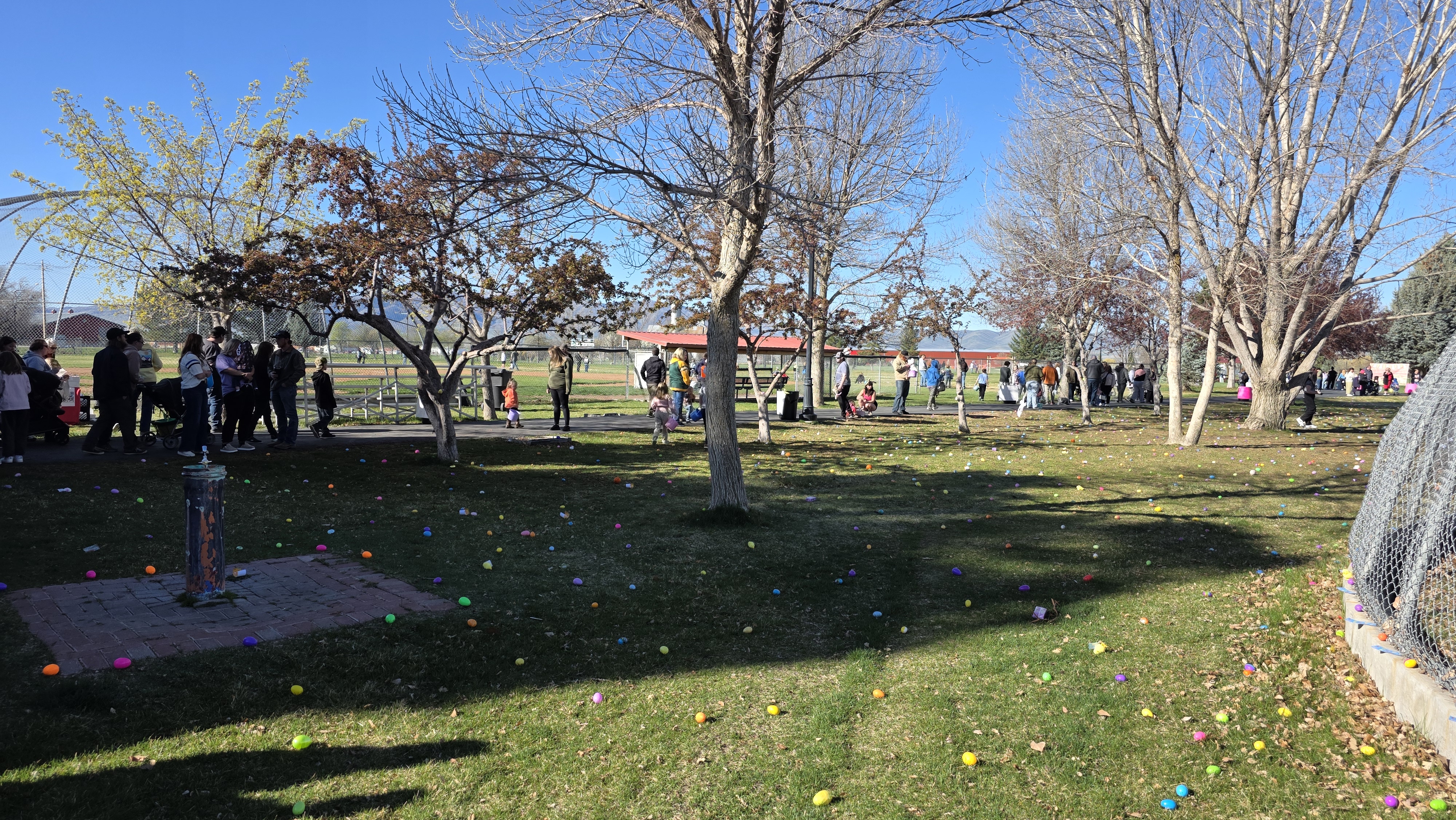 Oneida County Welcomes Easter | Oneida County Newspaper