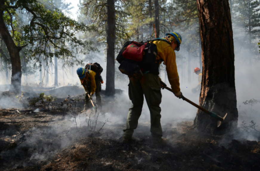 Update: Gunflint and Tofte Ranger Stations continue Old Bill prescribed ...