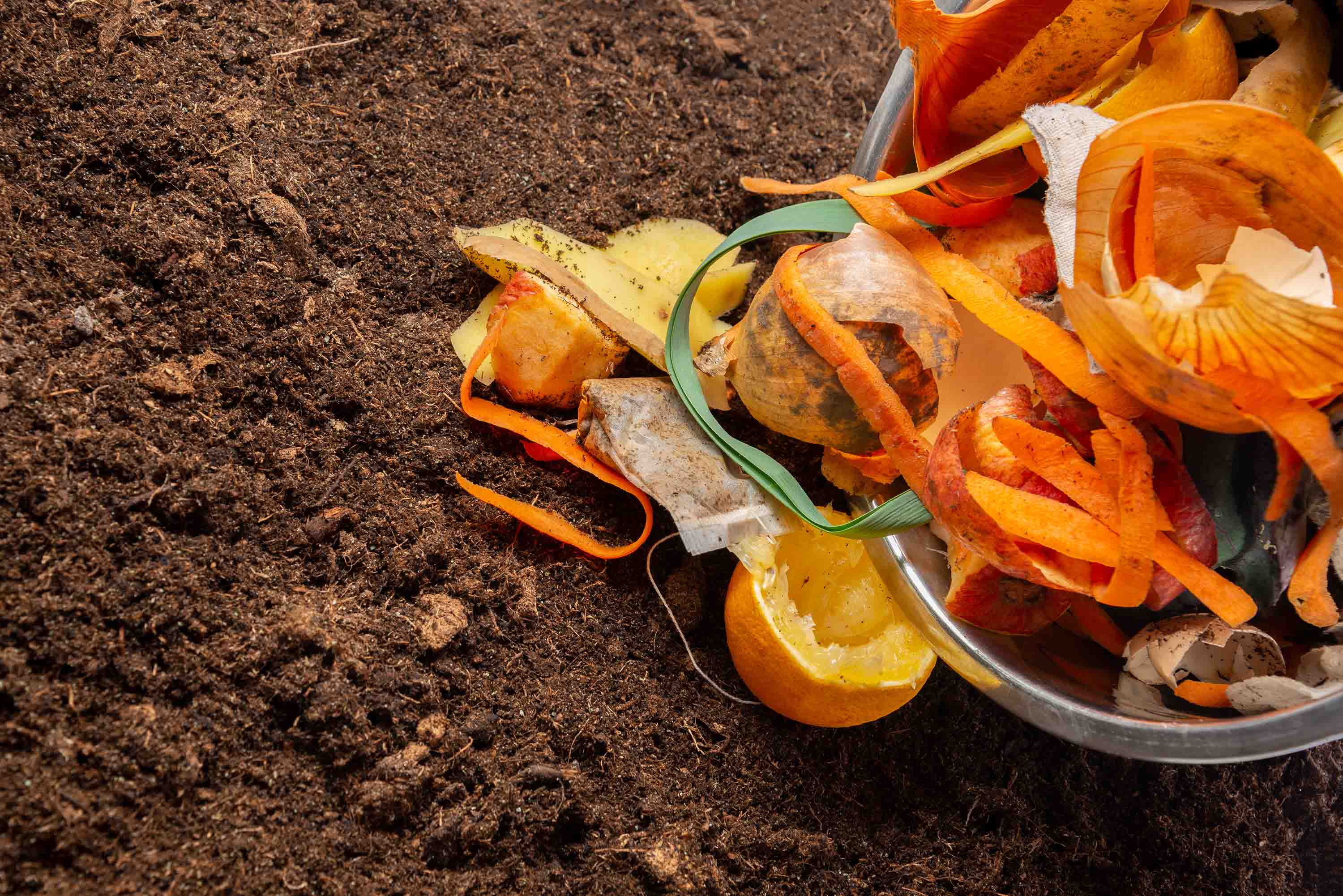 How compost extract can strengthen plants during drought and heat ...