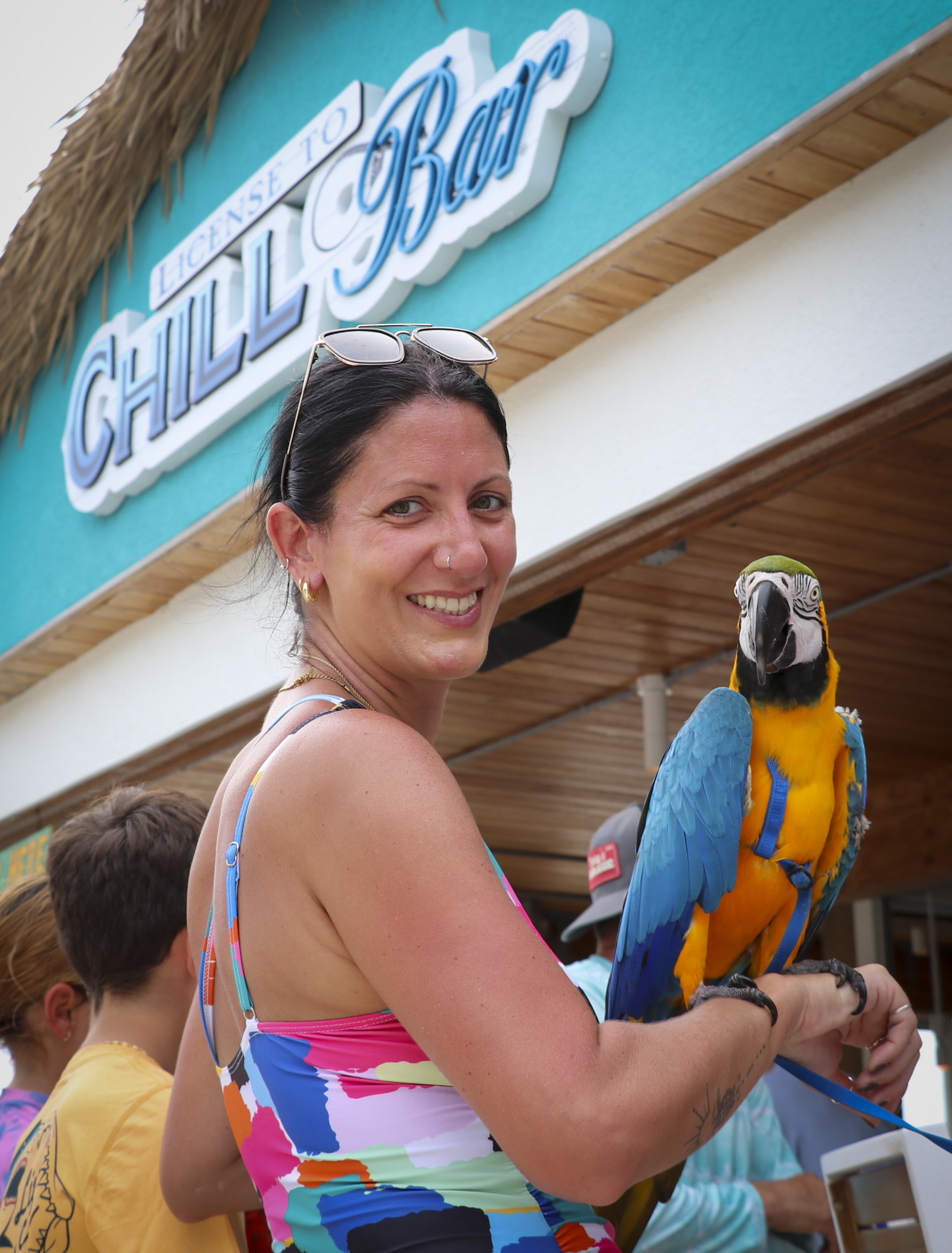 ParrotPhest Trop Rock… - Oct 1, 9 AM at Margaritaville Beach… | Eat ...