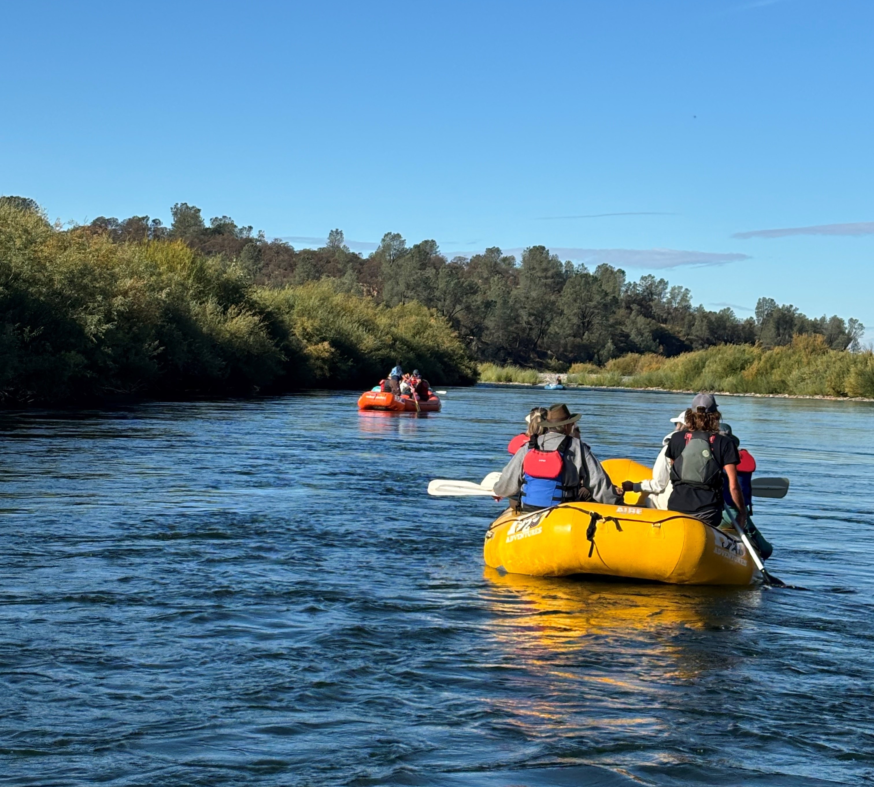 Salmon Expeditions Return to Yuba | The Gridley News
