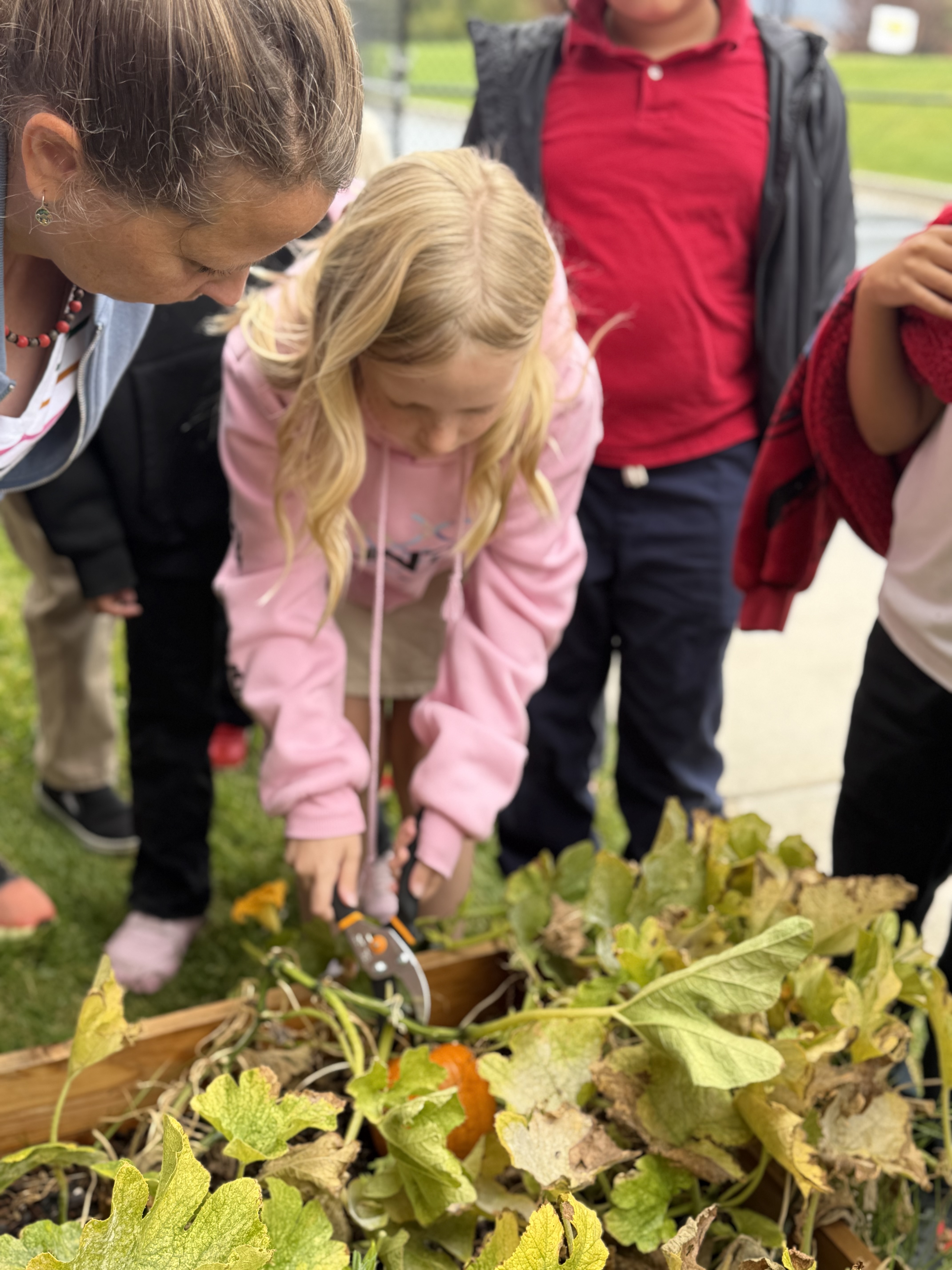 Lessons take root at Hawthorn Academy | The City Journals