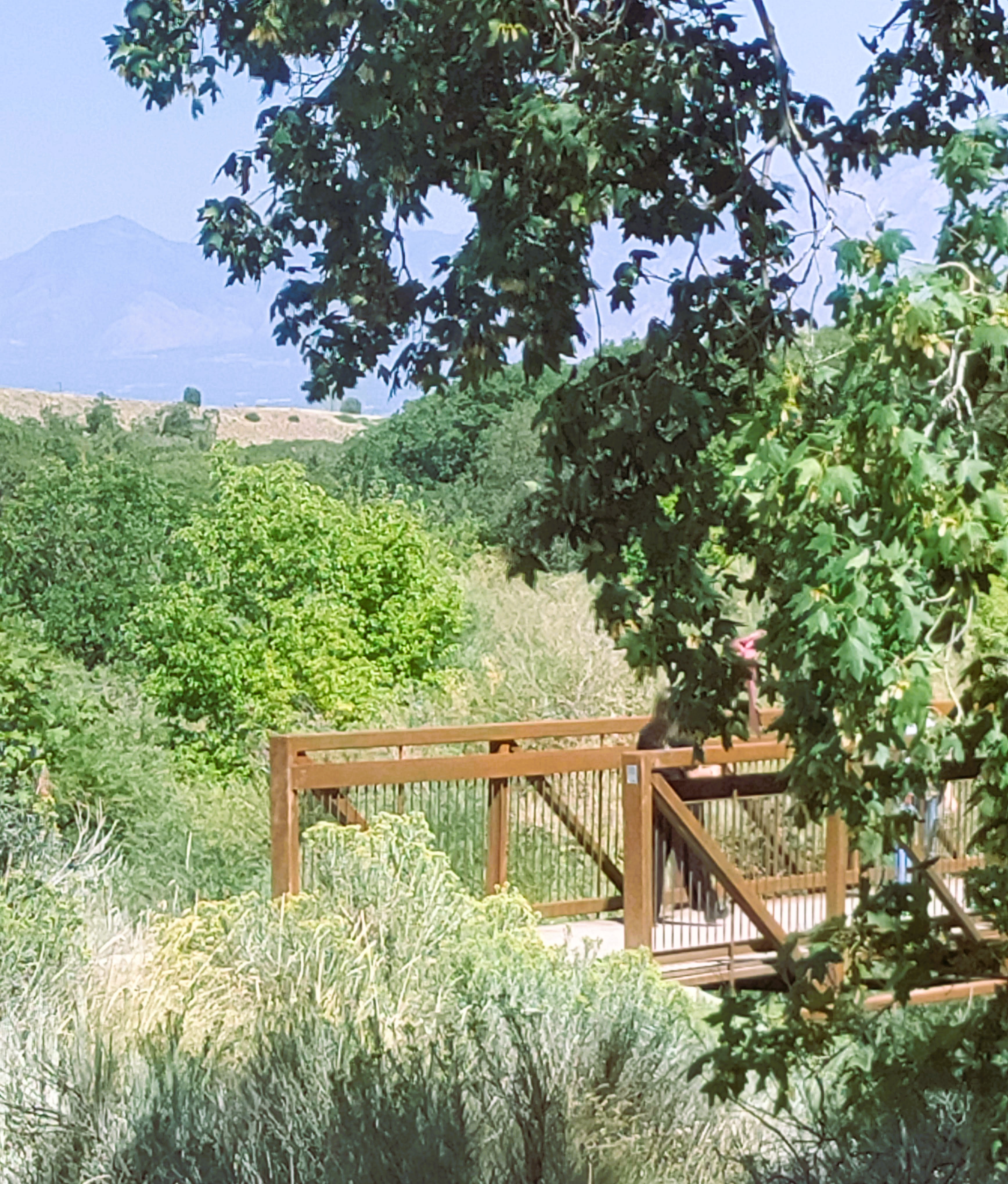 10 things that should be on your Herriman Bucket List | The City Journals