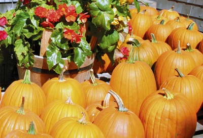 Franklin Turns Harvest Festival into Pumpkin Stroll | Bellingham Bulletin