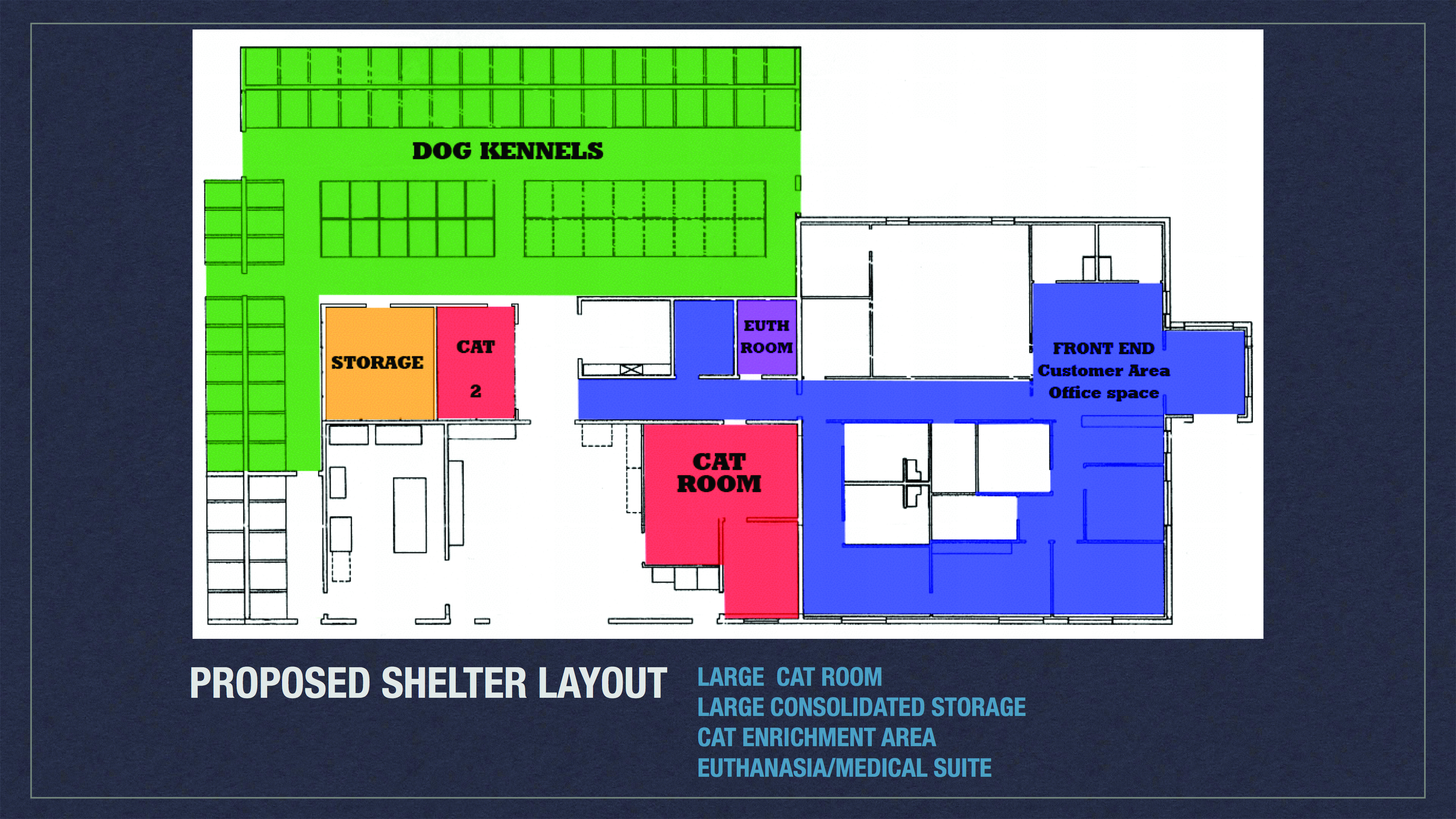 Animal Shelter Remodel to Make Room for More Cats | Sandy Utah News