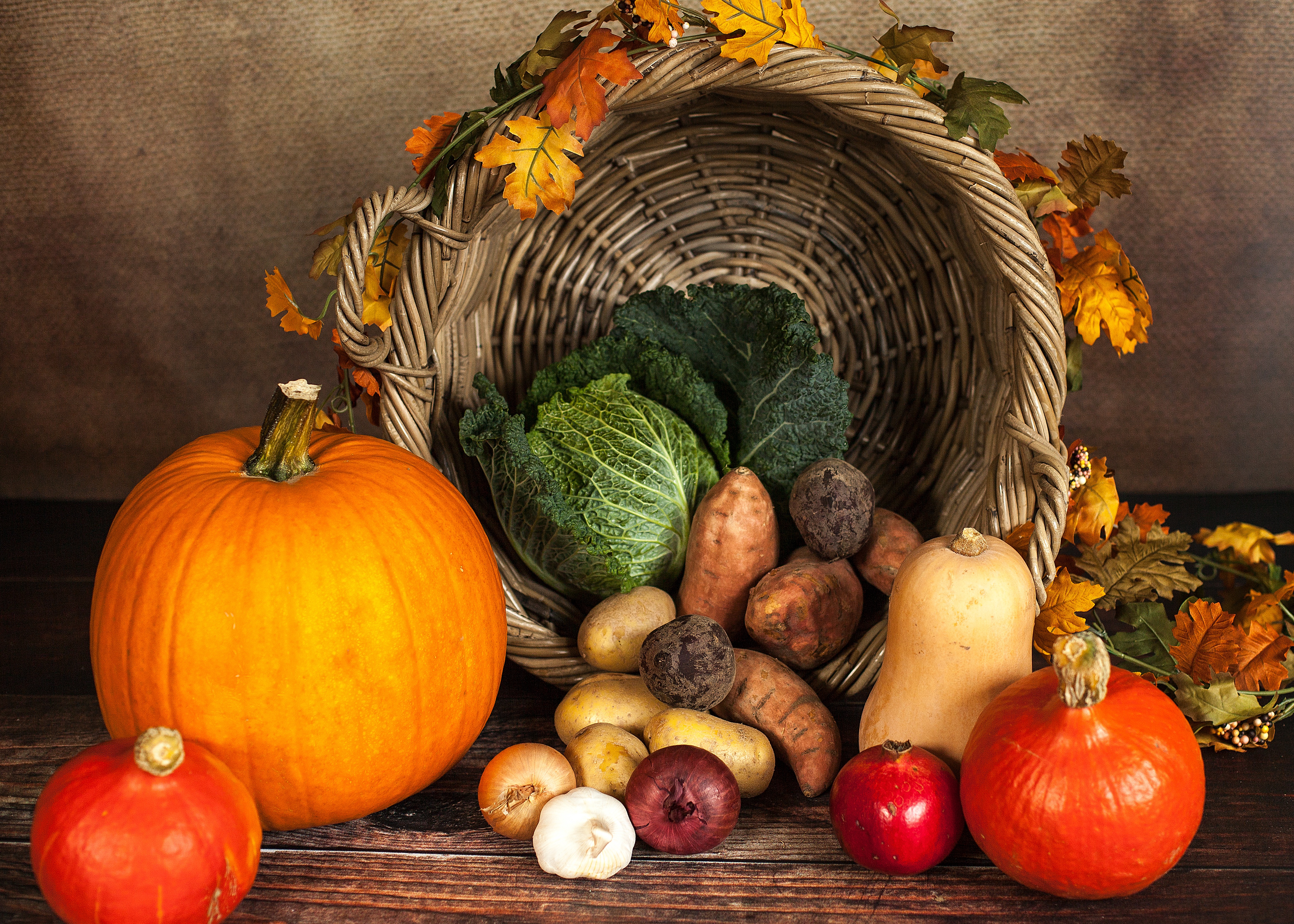 Healthy Harvest a Helping Hand | Steamboat Magazine