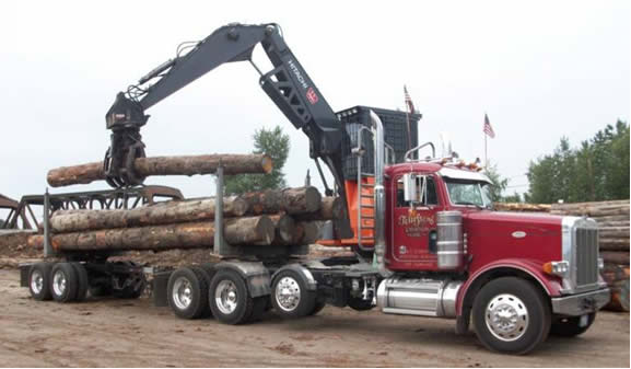 DNR opens public comment period on draft sustainable timber harvest ...