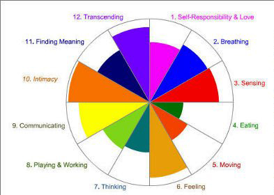 The 12 Dimensions of Well-being—What’s Your Wellness Score? | Natural ...