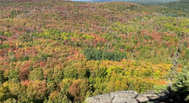 Fall colors in Minnesota: Where to see the best fall foliage (including ...